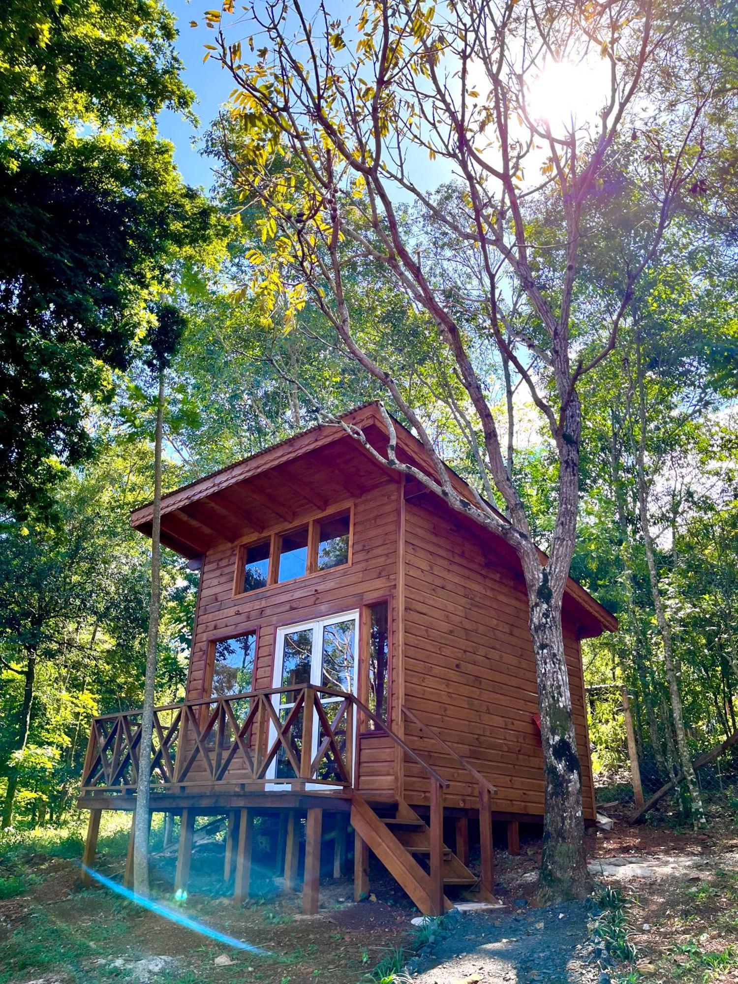 Lodge Blusky *